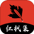 蘑菇视频官方版APP应用