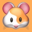 乐播视频下载官方版APP应用